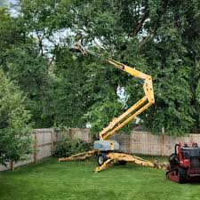 Best Tree Trimming and Pruning  in Hatboro, PA