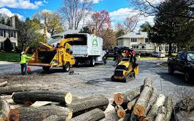 Artificial Turf Installation in Hatboro, PA