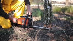 Best Lawn Maintenance Plans  in Hatboro, PA